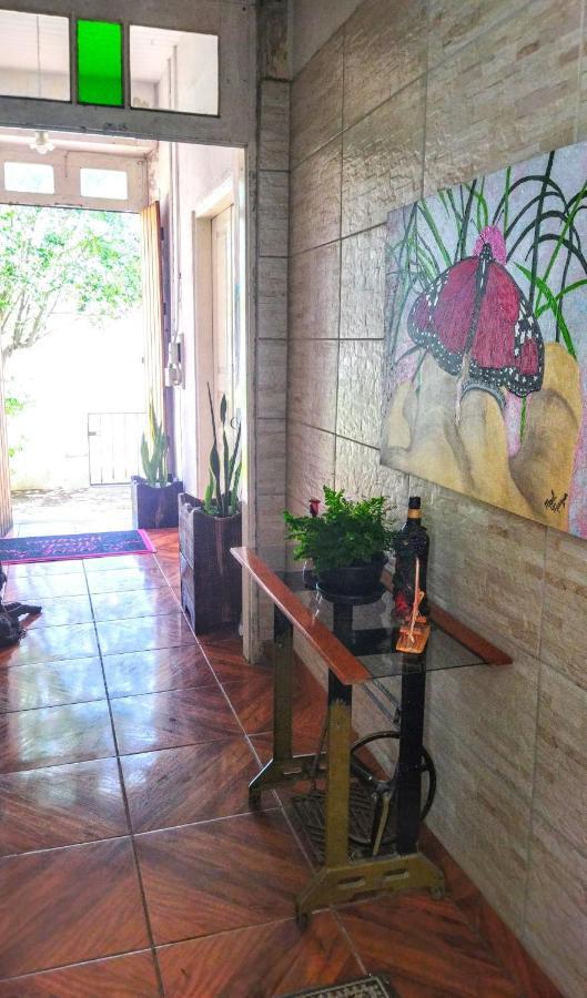Hst Atelie Marli Marques Apartment Pelotas Bagian luar foto